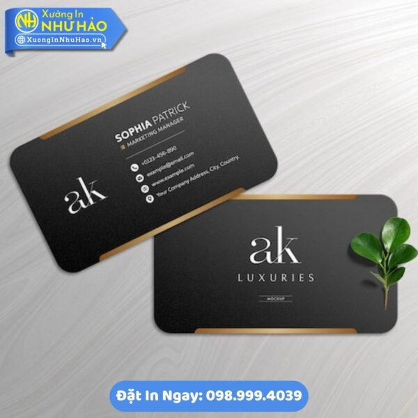 Thiết Kế Và In Card Visit Bằng Nhựa PVC/Giấy C300 - Hình ảnh 2