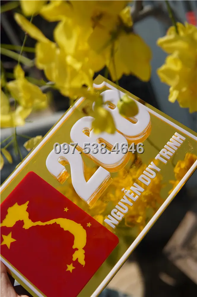Biển Số Nhà Đẹp Hiện Đại tại Mỹ Tho (Tiền Giang), Kích Thước 30x20, Số Nổi 8mm, Chữ Nổi 2mm, Chất Liệu Mica, Alu , Mực Uv, Làm Theo Yêu Cầu, Miễn Phí Thiết Kế Và Miễn Phí Vận Chuyển Tận Nhà 1 Biển Số Nhà Đẹp Hiện Đại tại Mỹ Tho (Tiền Giang), Kích Thước 30x20, Số Nổi 8mm, Chữ Nổi 2mm, Chất Liệu Mica, Alu , Mực Uv, Làm Theo Yêu Cầu, Miễn Phí Thiết Kế Và Miễn Phí Vận Chuyển Tận Nhà