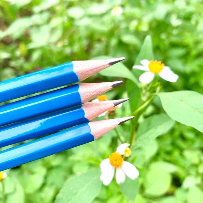 Bút Chì 2B, Khắc Theo Yêu Cầu, Màu Xanh, Dùng Cho Học Sinh, Giáo Viên, Thi Trắc Nghiệm, Vẽ Chân Dung 4
