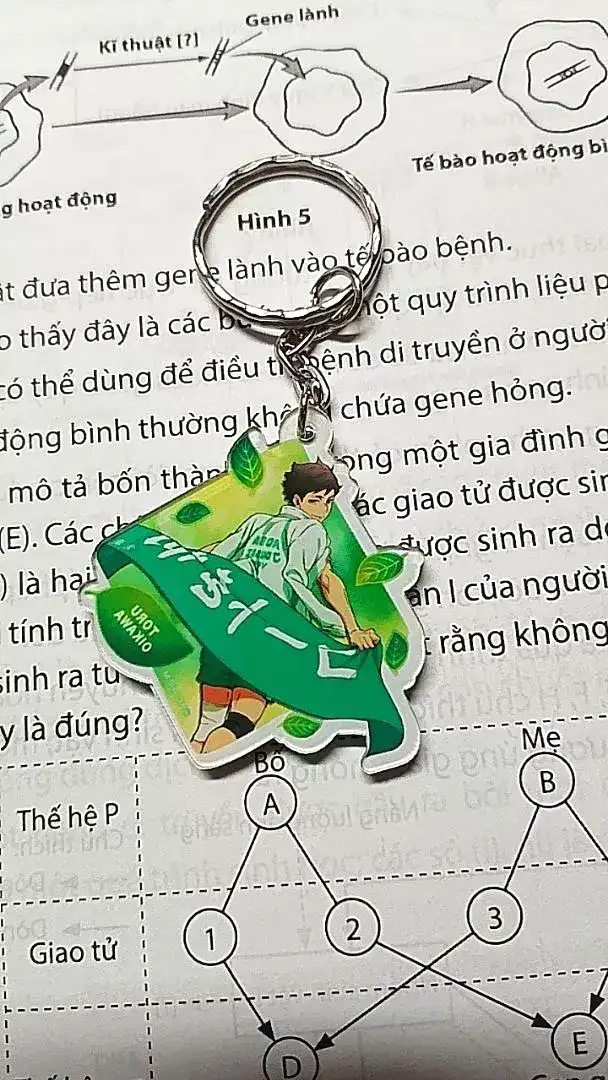 Móc Khóa Hình Lông Vũ Haikyuu, Móc Khóa Treo Cặp. Balo In Theo Yêu Cầu 1 Móc Khóa Hình Lông Vũ Haikyuu, Móc Khóa Treo Cặp. Balo In Theo Yêu Cầu