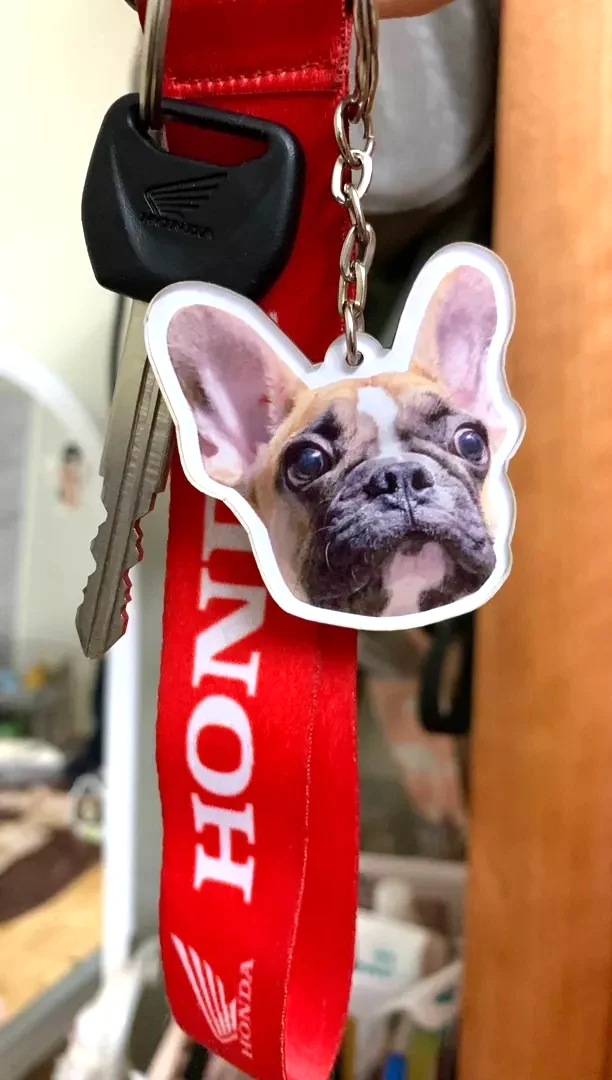 Móc Khóa In Hình Thú Cưng Theo Yêu Cầu Mica Trong Suốt In 2 Mặt , Trang Trí Treo Cặp, Balo 3 Móc Khóa In Hình Thú Cưng Theo Yêu Cầu Mica Trong Suốt In 2 Mặt , Trang Trí Treo Cặp, Balo 2