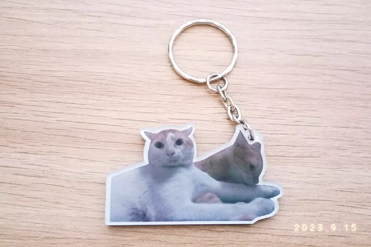 Móc Khóa In Hình Thú Cưng Theo Yêu Cầu Mica Trong Suốt In 2 Mặt , Trang Trí Treo Cặp, Balo 5 Móc Khóa In Hình Thú Cưng Theo Yêu Cầu Mica Trong Suốt In 2 Mặt , Trang Trí Treo Cặp, Balo 4