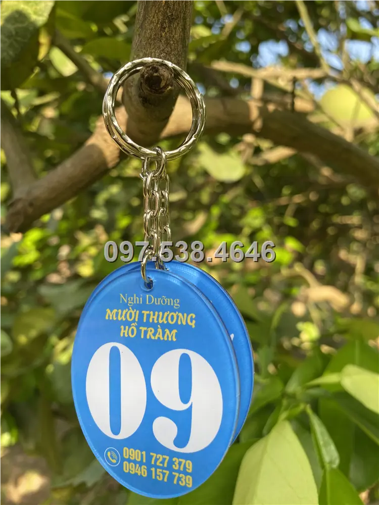 Móc Khóa Khách Sạn, Hotel, Mote, Homestay Theo Yêu Cầu hình oval elip màu xanh dương , Giá Xưởng, Cắt Laser, Mica Trong Suốt Dày 4mm , kích thước 4.5x5.5 cm , Giá Tận Gốc, Free Ship Từ 30 Cái 5 Móc Khóa Khách Sạn, Hotel, Mote, Homestay Theo Yêu Cầu hình oval elip màu xanh dương , Giá Xưởng, Cắt Laser, Mica Trong Suốt Dày 4mm , kích thước 4.5x5.5 cm , Giá Tận Gốc, Free Ship Từ 30 Cái - Ảnh 5