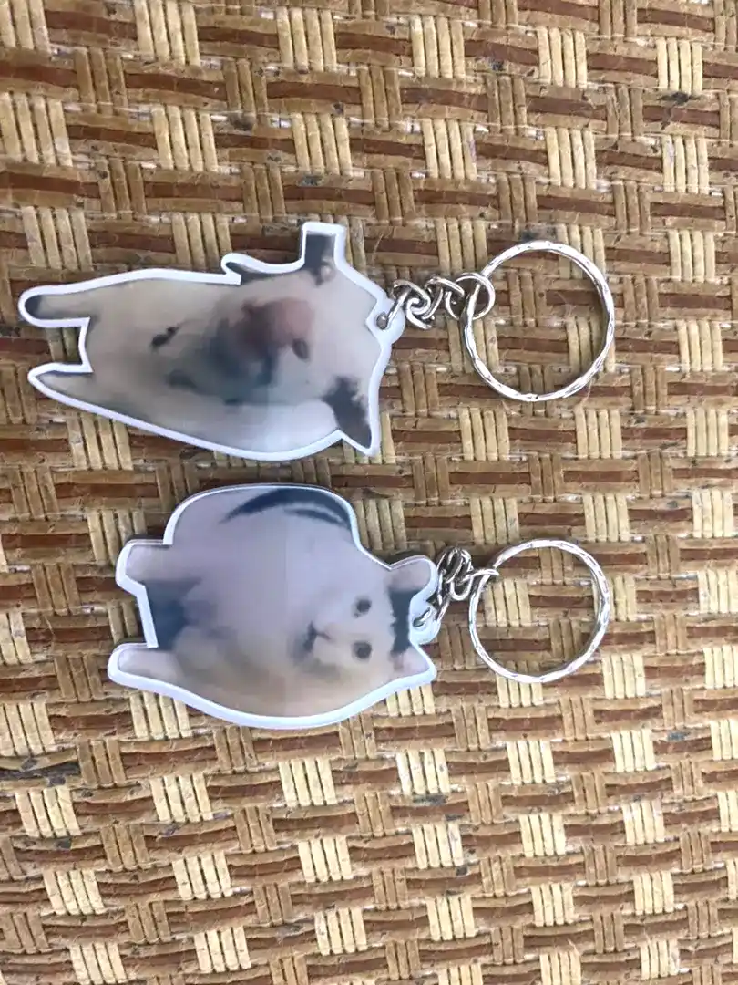 Móc Khóa Mèo Babi Phun Nước Cho Bạn Bè, Người Yêu, Móc Khóa Treo Cặp. Balo In Theo Yêu Cầu 9 Móc Khóa Mèo Babi Phun Nước Cho Bạn Bè, Người Yêu, Móc Khóa Treo Cặp. Balo In Theo Yêu Cầu 8