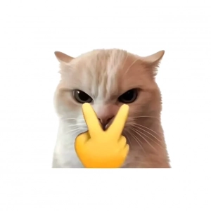Móc Khóa Mica Meme Chú Mèo Mắt Long Lanh Cầm Ví Trống Rỗng Ngửa Tay Xin Cứu Trợ Tài Chính Cuối Tháng 1