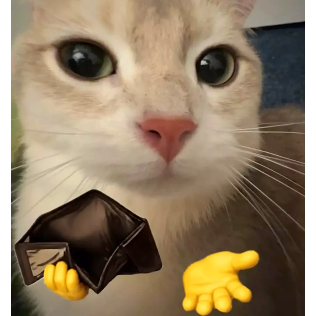 Móc Khóa Mica Meme Chú Mèo Mắt Long Lanh Cầm Ví Trống Rỗng Ngửa Tay Xin Cứu Trợ Tài Chính Cuối Tháng 4 Móc Khóa Mica Meme Chú Mèo Mắt Long Lanh Cầm Ví Trống Rỗng Ngửa Tay Xin Cứu Trợ Tài Chính Cuối Tháng 3