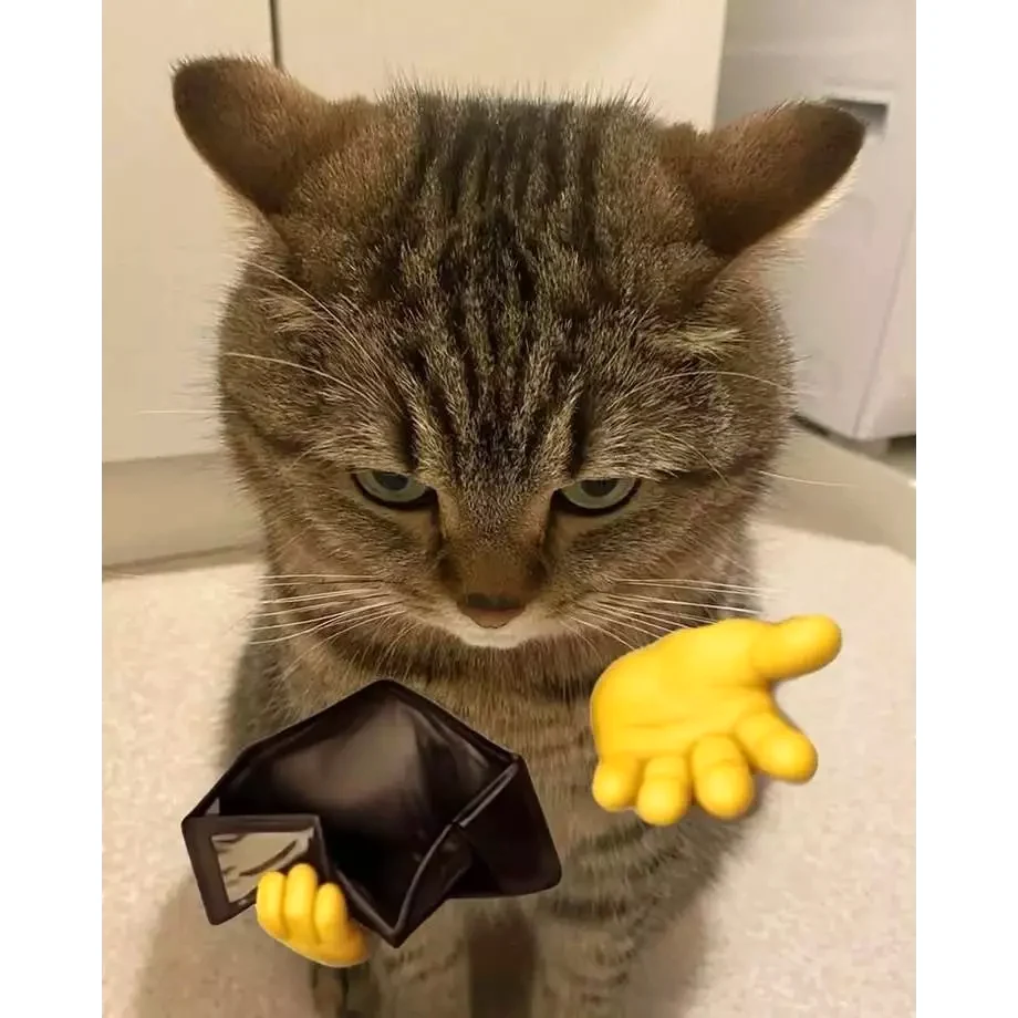 Móc Khóa Mica Meme Chú Mèo Mắt Long Lanh Cầm Ví Trống Rỗng Ngửa Tay Xin Cứu Trợ Tài Chính Cuối Tháng 5 Móc Khóa Mica Meme Chú Mèo Mắt Long Lanh Cầm Ví Trống Rỗng Ngửa Tay Xin Cứu Trợ Tài Chính Cuối Tháng 4