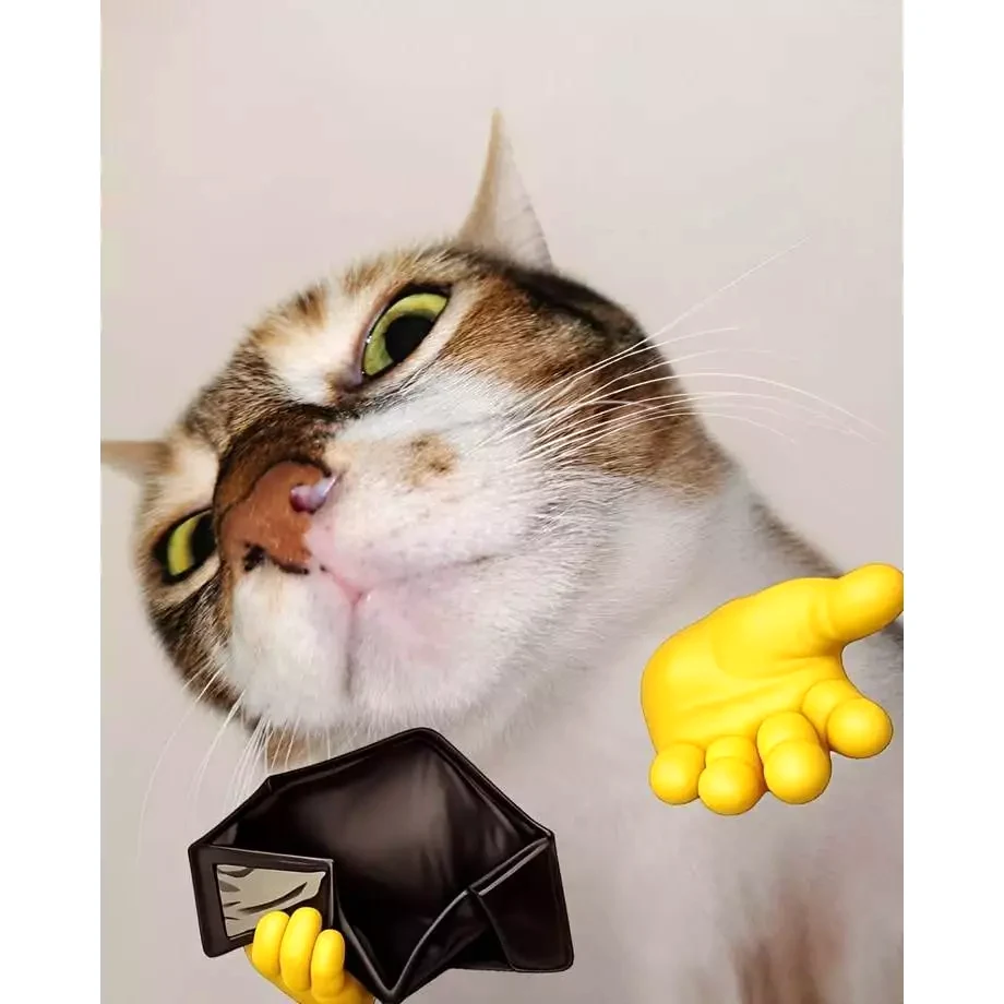 Móc Khóa Mica Meme Chú Mèo Mắt Long Lanh Cầm Ví Trống Rỗng Ngửa Tay Xin Cứu Trợ Tài Chính Cuối Tháng 6 Móc Khóa Mica Meme Chú Mèo Mắt Long Lanh Cầm Ví Trống Rỗng Ngửa Tay Xin Cứu Trợ Tài Chính Cuối Tháng 5