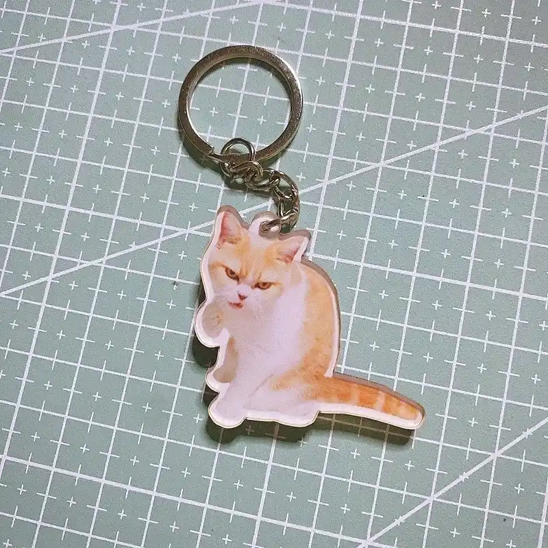 Móc Khoá Mica Mèo Meme Cute Đáng Yêu, Mỹ Diệu, Meme Quà Tặng Bạn Bè, Chất Liệu Mica Trong Suốt In 2 Mặt, Kích Thước 5cm , Trang Trí Treo Cặp, Balo 7 Móc Khoá Mica Mèo Meme Cute Đáng Yêu, Mỹ Diệu, Meme Quà Tặng Bạn Bè, Chất Liệu Mica Trong Suốt In 2 Mặt, Kích Thước 5cm , Trang Trí Treo Cặp, Balo 6