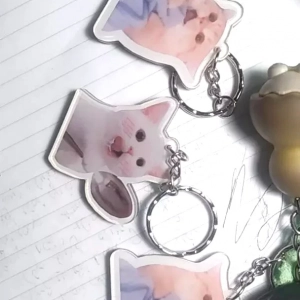 Móc Khoá Mica Trong 2 Mặt Mèo Meme Cute Đáng Yêu, Móc Khóa Treo Cặp. Balo In Theo Yêu Cầu 1