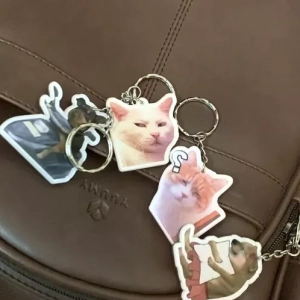 Móc Khoá Mica Trong 2 Mặt Mèo Meme Cute Đáng Yêu, Móc Khóa Treo Cặp. Balo In Theo Yêu Cầu