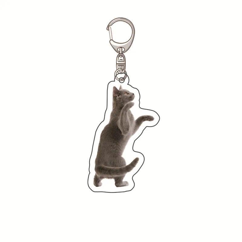 Banana Cat Kitten Happy Hamster Acrylic Keychain Charms Pendantmica Accessorie Keychain Móc Khóa In Theo Yêu Cầu, Chất Liệu Mica Trong Suốt In 2 Mặt , Dày 4mm 14 Banana Cat Kitten Happy Hamster Acrylic Keychain Charms Pendantmica Accessorie Keychain Móc Khóa In Theo Yêu Cầu, Chất Liệu Mica Trong Suốt In 2 Mặt , Dày 4mm - Ảnh 14