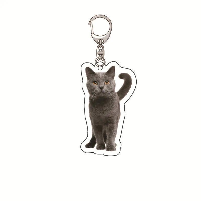 Banana Cat Kitten Happy Hamster Acrylic Keychain Charms Pendantmica Accessorie Keychain Móc Khóa In Theo Yêu Cầu, Chất Liệu Mica Trong Suốt In 2 Mặt , Dày 4mm 9 Banana Cat Kitten Happy Hamster Acrylic Keychain Charms Pendantmica Accessorie Keychain Móc Khóa In Theo Yêu Cầu, Chất Liệu Mica Trong Suốt In 2 Mặt , Dày 4mm - Ảnh 9