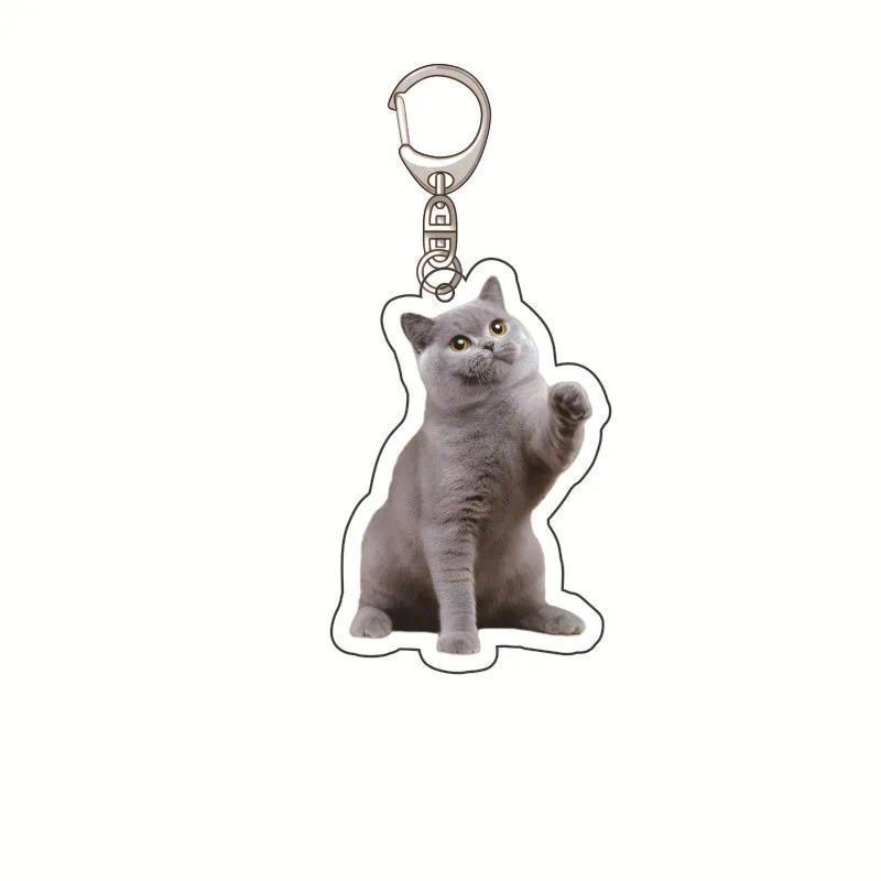 Banana Cat Kitten Happy Hamster Acrylic Keychain Charms Pendantmica Accessorie Keychain Móc Khóa In Theo Yêu Cầu, Chất Liệu Mica Trong Suốt In 2 Mặt , Dày 4mm 10 Banana Cat Kitten Happy Hamster Acrylic Keychain Charms Pendantmica Accessorie Keychain Móc Khóa In Theo Yêu Cầu, Chất Liệu Mica Trong Suốt In 2 Mặt , Dày 4mm - Ảnh 10
