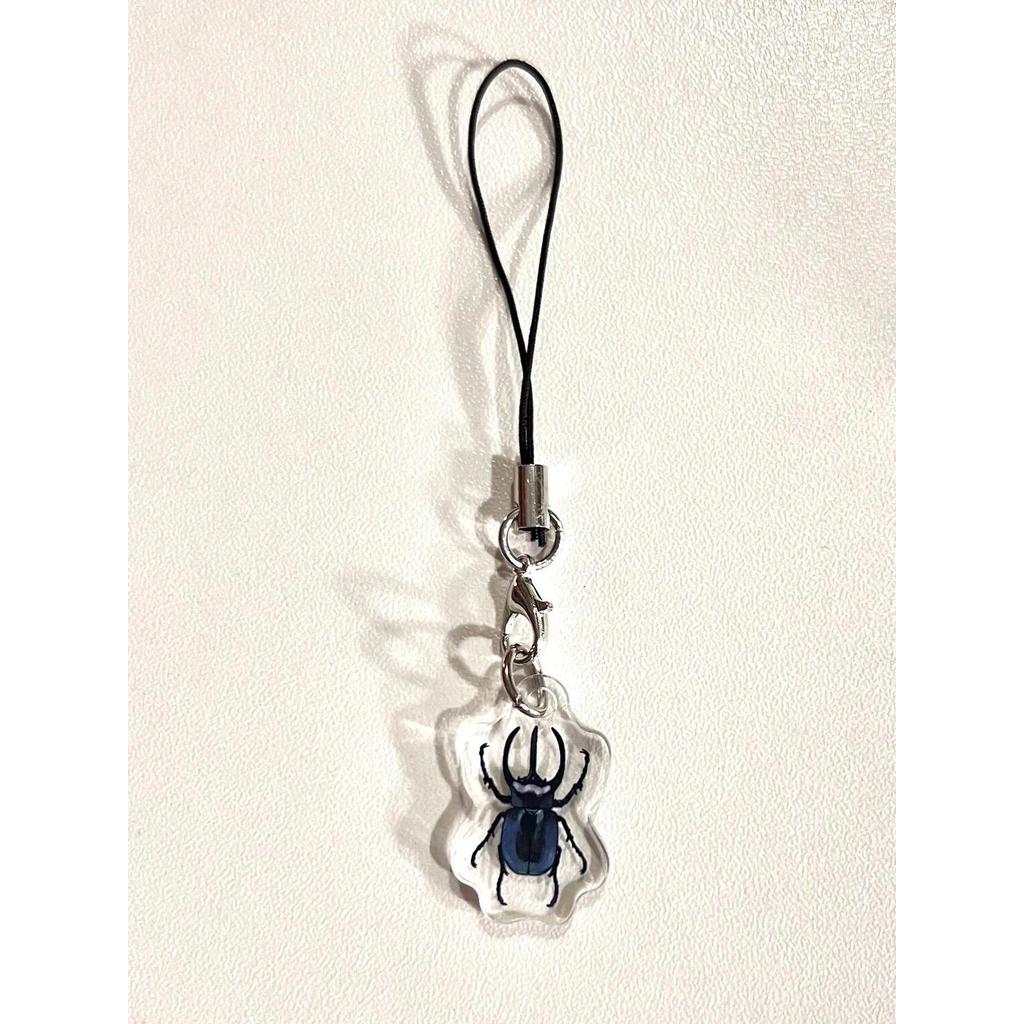 Beetle Phone Charm Trendy Beetle Design Mobile Phone Accessories For Women Kids Decoration Móc Khóa In Theo Yêu Cầu, Chất Liệu Mica Trong Suốt In 2 Mặt , Dày 4mm 1 Beetle Phone Charm Trendy Beetle Design Mobile Phone Accessories For Women Kids Decoration Móc Khóa In Theo Yêu Cầu, Chất Liệu Mica Trong Suốt In 2 Mặt , Dày 4mm