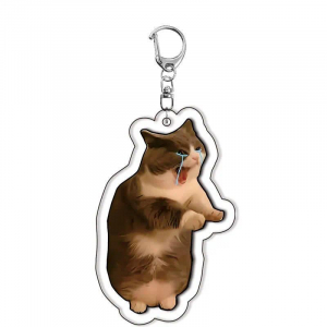 Cute Popping Cat Meow Meme Animal Keychains Keyring Accessories Bag Dog Hanging Face Keyring Móc Khóa In Theo Yêu Cầu, Chất Liệu Mica Trong Suốt In 2 Mặt , Dày 4mm