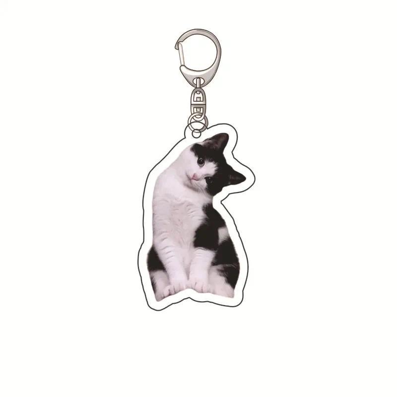 Funny Doctor Nurse Cat Keychain Mouse Patient Scared Expression Hanging Face Keychain 2d Móc Khóa In Theo Yêu Cầu, Chất Liệu Mica Trong Suốt In 2 Mặt , Dày 4mm 13 Funny Doctor Nurse Cat Keychain Mouse Patient Scared Expression Hanging Face Keychain 2d Móc Khóa In Theo Yêu Cầu, Chất Liệu Mica Trong Suốt In 2 Mặt , Dày 4mm - Ảnh 13