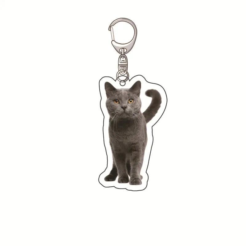 Funny Doctor Nurse Cat Keychain Mouse Patient Scared Expression Hanging Face Keychain 2d Móc Khóa In Theo Yêu Cầu, Chất Liệu Mica Trong Suốt In 2 Mặt , Dày 4mm 8 Funny Doctor Nurse Cat Keychain Mouse Patient Scared Expression Hanging Face Keychain 2d Móc Khóa In Theo Yêu Cầu, Chất Liệu Mica Trong Suốt In 2 Mặt , Dày 4mm - Ảnh 8