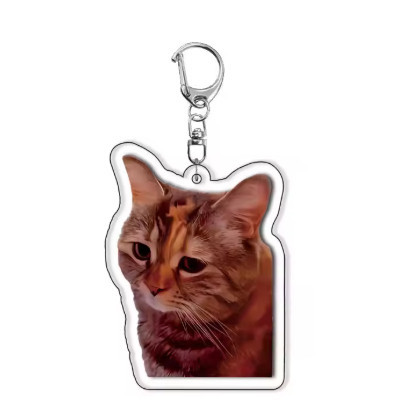 Funny Meme Cat Keychain – Cute, Fun Design. Suitable As Gifts For Students, Friends, And Móc Khóa In Theo Yêu Cầu, Chất Liệu Mica Trong Suốt In 2 Mặt , Dày 4mm 3 Funny Meme Cat Keychain – Cute, Fun Design. Suitable As Gifts For Students, Friends, And Móc Khóa In Theo Yêu Cầu, Chất Liệu Mica Trong Suốt In 2 Mặt , Dày 4mm - Ảnh 3