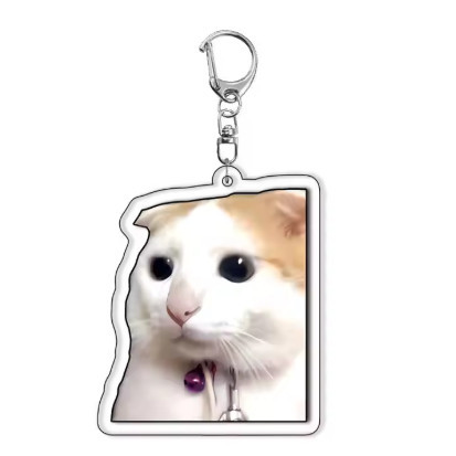 Funny Meme Cat Keychain – Cute, Fun Design. Suitable As Gifts For Students, Friends, And Móc Khóa In Theo Yêu Cầu, Chất Liệu Mica Trong Suốt In 2 Mặt , Dày 4mm 4 Funny Meme Cat Keychain – Cute, Fun Design. Suitable As Gifts For Students, Friends, And Móc Khóa In Theo Yêu Cầu, Chất Liệu Mica Trong Suốt In 2 Mặt , Dày 4mm - Ảnh 4