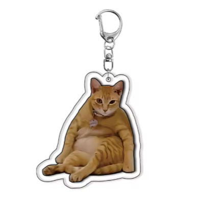 Funny Meme Cat Keychain – Cute, Fun Design. Suitable As Gifts For Students, Friends, And Móc Khóa In Theo Yêu Cầu, Chất Liệu Mica Trong Suốt In 2 Mặt , Dày 4mm 6 Funny Meme Cat Keychain – Cute, Fun Design. Suitable As Gifts For Students, Friends, And Móc Khóa In Theo Yêu Cầu, Chất Liệu Mica Trong Suốt In 2 Mặt , Dày 4mm - Ảnh 6