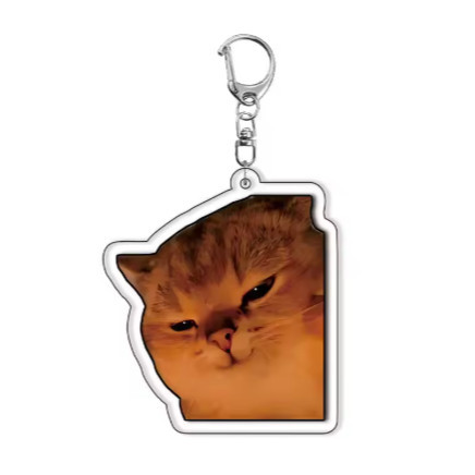 Funny Meme Cat Keychain – Cute, Fun Design. Suitable As Gifts For Students, Friends, And Móc Khóa In Theo Yêu Cầu, Chất Liệu Mica Trong Suốt In 2 Mặt , Dày 4mm 10 Funny Meme Cat Keychain – Cute, Fun Design. Suitable As Gifts For Students, Friends, And Móc Khóa In Theo Yêu Cầu, Chất Liệu Mica Trong Suốt In 2 Mặt , Dày 4mm - Ảnh 10