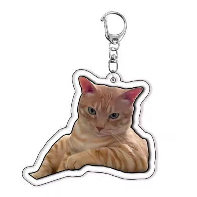 Funny Meme Cat Keychain – Cute, Fun Design. Suitable As Gifts For Students, Friends, And Móc Khóa In Theo Yêu Cầu, Chất Liệu Mica Trong Suốt In 2 Mặt , Dày 4mm 1 Funny Meme Cat Keychain – Cute, Fun Design. Suitable As Gifts For Students, Friends, And Móc Khóa In Theo Yêu Cầu, Chất Liệu Mica Trong Suốt In 2 Mặt , Dày 4mm
