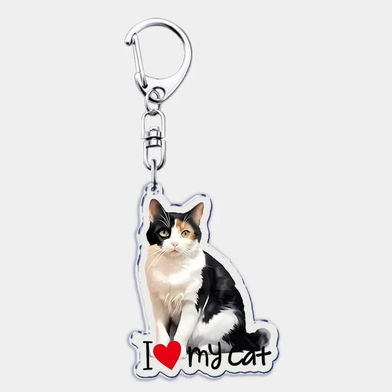 I Love My Cat Mica Keychain For Accessories Bag Cute Black Maine Coon Cat Keychain Ring Móc Khóa In Theo Yêu Cầu, Chất Liệu Mica Trong Suốt In 2 Mặt , Dày 4mm 20 I Love My Cat Mica Keychain For Accessories Bag Cute Black Maine Coon Cat Keychain Ring Móc Khóa In Theo Yêu Cầu, Chất Liệu Mica Trong Suốt In 2 Mặt , Dày 4mm - Ảnh 20