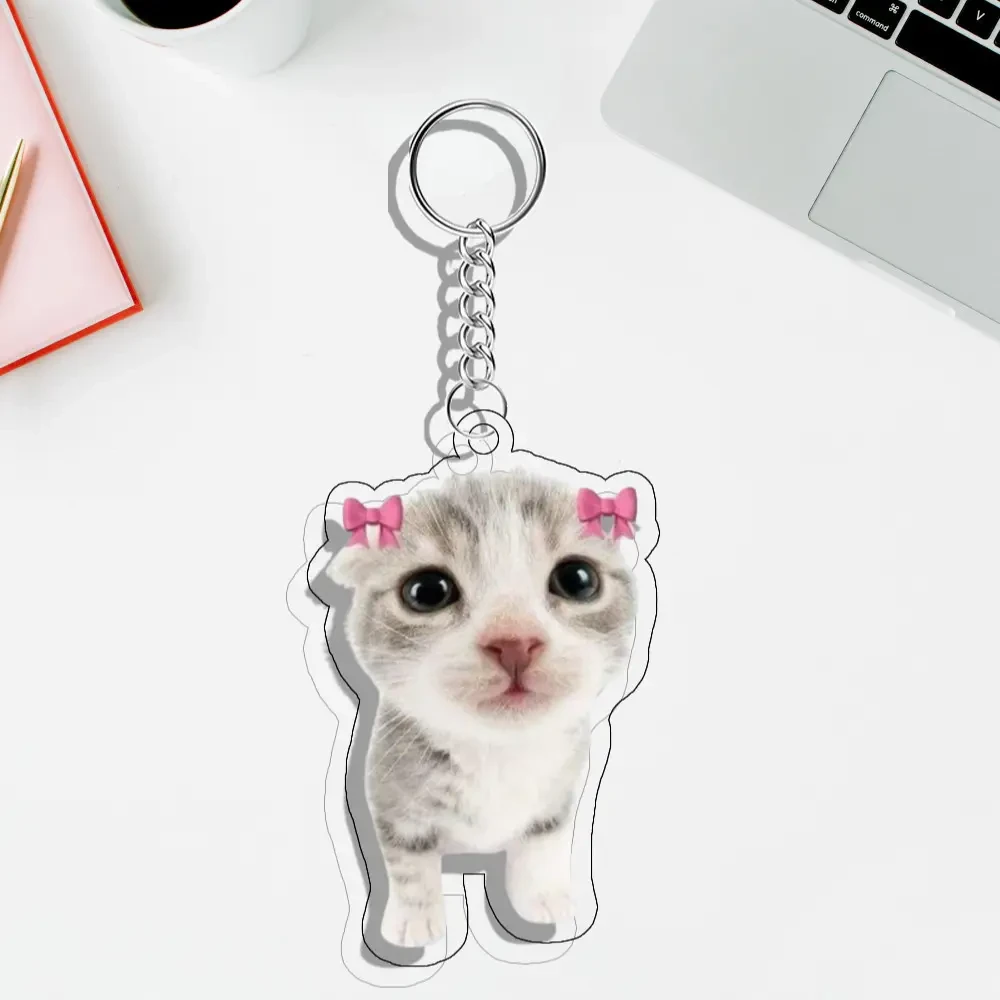 Móc Khóa Mèo Meme Nhện Dễ Thương Móc Khóa In Theo Yêu Cầu, Chất Liệu Mica Trong Suốt In 2 Mặt , Dày 4mm, Free Ship 30 Cái, Miễn Phí Thiết Kế, Có Test Mẫu 10 Móc Khóa Mèo Meme Nhện Dễ Thương Móc Khóa In Theo Yêu Cầu, Chất Liệu Mica Trong Suốt In 2 Mặt , Dày 4mm, Free Ship 30 Cái, Miễn Phí Thiết Kế, Có Test Mẫu - Ảnh 10