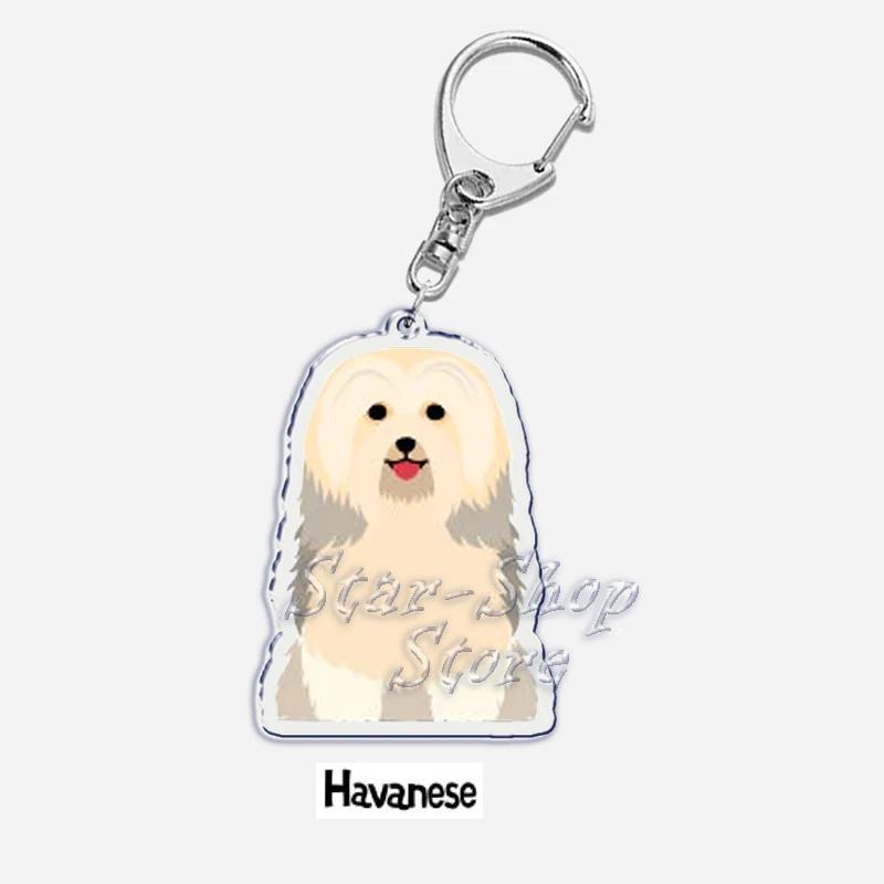 Papillon Bulldog Pug Dachshund Key Chain Keychains Ring Pendant Pet Souvenir Friends Gifts Móc Khóa In Theo Yêu Cầu, Chất Liệu Mica Trong Suốt In 2 Mặt , Dày 4mm 19 Papillon Bulldog Pug Dachshund Key Chain Keychains Ring Pendant Pet Souvenir Friends Gifts Móc Khóa In Theo Yêu Cầu, Chất Liệu Mica Trong Suốt In 2 Mặt , Dày 4mm - Ảnh 19