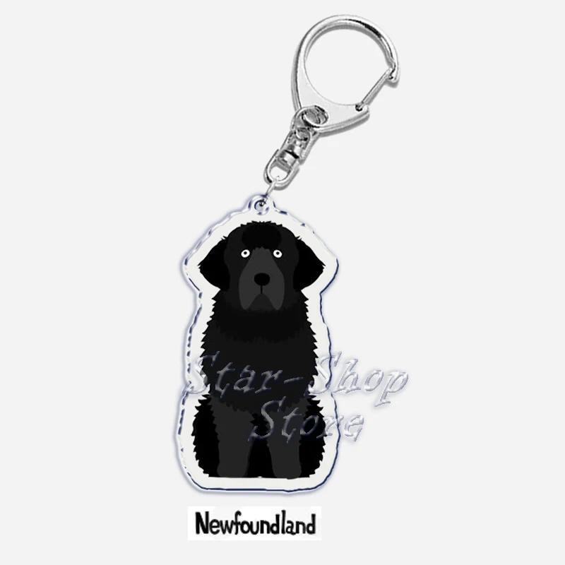 Papillon Bulldog Pug Dachshund Key Chain Keychains Ring Pendant Pet Souvenir Friends Gifts Móc Khóa In Theo Yêu Cầu, Chất Liệu Mica Trong Suốt In 2 Mặt , Dày 4mm 25 Papillon Bulldog Pug Dachshund Key Chain Keychains Ring Pendant Pet Souvenir Friends Gifts Móc Khóa In Theo Yêu Cầu, Chất Liệu Mica Trong Suốt In 2 Mặt , Dày 4mm - Ảnh 25
