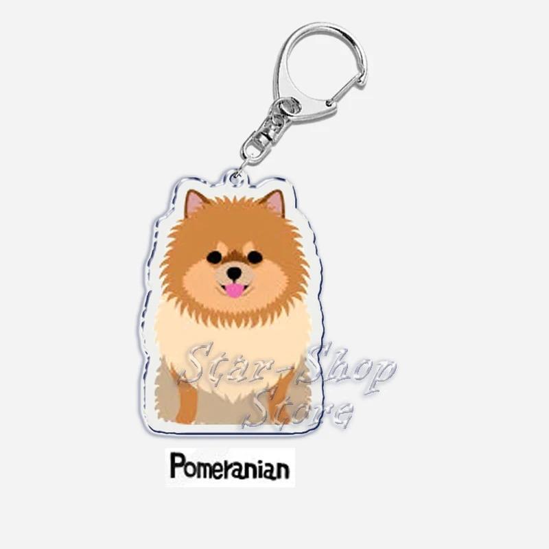 Papillon Bulldog Pug Dachshund Key Chain Keychains Ring Pendant Pet Souvenir Friends Gifts Móc Khóa In Theo Yêu Cầu, Chất Liệu Mica Trong Suốt In 2 Mặt , Dày 4mm 26 Papillon Bulldog Pug Dachshund Key Chain Keychains Ring Pendant Pet Souvenir Friends Gifts Móc Khóa In Theo Yêu Cầu, Chất Liệu Mica Trong Suốt In 2 Mặt , Dày 4mm - Ảnh 26