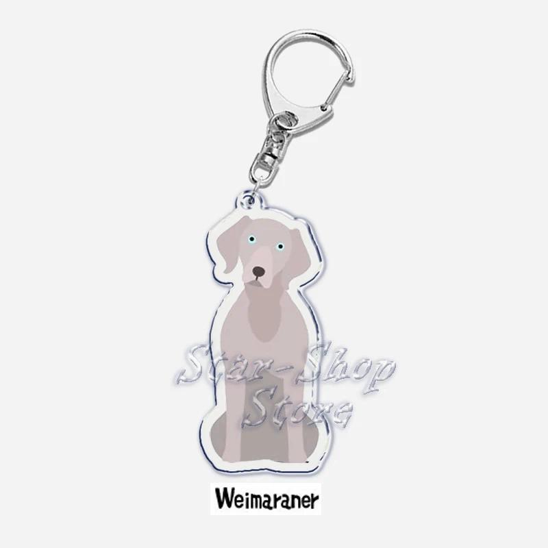 Papillon Bulldog Pug Dachshund Key Chain Keychains Ring Pendant Pet Souvenir Friends Gifts Móc Khóa In Theo Yêu Cầu, Chất Liệu Mica Trong Suốt In 2 Mặt , Dày 4mm 53 Papillon Bulldog Pug Dachshund Key Chain Keychains Ring Pendant Pet Souvenir Friends Gifts Móc Khóa In Theo Yêu Cầu, Chất Liệu Mica Trong Suốt In 2 Mặt , Dày 4mm - Ảnh 53