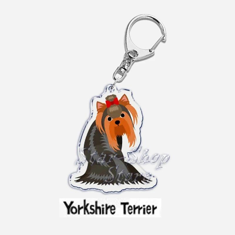 Papillon Bulldog Pug Dachshund Key Chain Keychains Ring Pendant Pet Souvenir Friends Gifts Móc Khóa In Theo Yêu Cầu, Chất Liệu Mica Trong Suốt In 2 Mặt , Dày 4mm 55 Papillon Bulldog Pug Dachshund Key Chain Keychains Ring Pendant Pet Souvenir Friends Gifts Móc Khóa In Theo Yêu Cầu, Chất Liệu Mica Trong Suốt In 2 Mặt , Dày 4mm - Ảnh 55