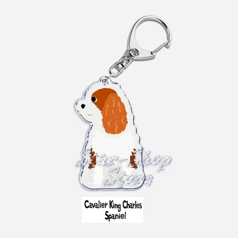 Papillon Bulldog Pug Dachshund Key Chain Keychains Ring Pendant Pet Souvenir Friends Gifts Móc Khóa In Theo Yêu Cầu, Chất Liệu Mica Trong Suốt In 2 Mặt , Dày 4mm 56 Papillon Bulldog Pug Dachshund Key Chain Keychains Ring Pendant Pet Souvenir Friends Gifts Móc Khóa In Theo Yêu Cầu, Chất Liệu Mica Trong Suốt In 2 Mặt , Dày 4mm - Ảnh 56