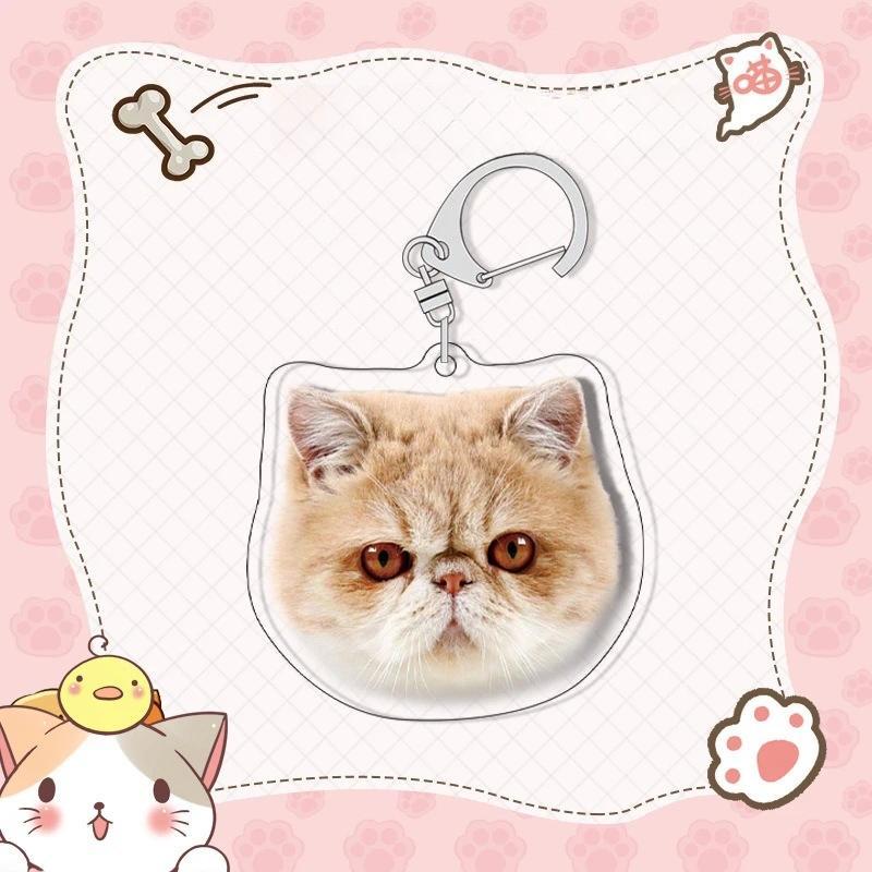 Shorthair Siamese Cat Pattern Keychain Super Cute Pet Cat Mica Animals Mica Fans Love Bag Móc Khóa In Theo Yêu Cầu, Chất Liệu Mica Trong Suốt In 2 Mặt , Dày 4mm 4 Shorthair Siamese Cat Pattern Keychain Super Cute Pet Cat Mica Animals Mica Fans Love Bag Móc Khóa In Theo Yêu Cầu, Chất Liệu Mica Trong Suốt In 2 Mặt , Dày 4mm - Ảnh 4
