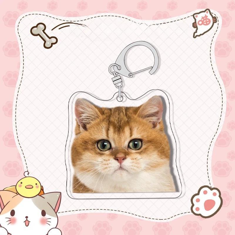 Shorthair Siamese Cat Pattern Keychain Super Cute Pet Cat Mica Animals Mica Fans Love Bag Móc Khóa In Theo Yêu Cầu, Chất Liệu Mica Trong Suốt In 2 Mặt , Dày 4mm 10 Shorthair Siamese Cat Pattern Keychain Super Cute Pet Cat Mica Animals Mica Fans Love Bag Móc Khóa In Theo Yêu Cầu, Chất Liệu Mica Trong Suốt In 2 Mặt , Dày 4mm - Ảnh 10