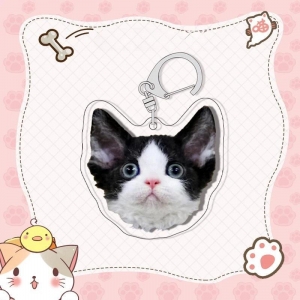 Shorthair Siamese Cat Pattern Keychain Super Cute Pet Cat Mica Animals Mica Fans Love Bag Móc Khóa In Theo Yêu Cầu, Chất Liệu Mica Trong Suốt In 2 Mặt , Dày 4mm