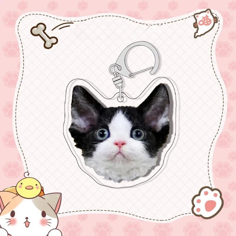 Shorthair Siamese Cat Pattern Keychain Super Cute Pet Cat Mica Animals Mica Fans Love Bag Móc Khóa In Theo Yêu Cầu, Chất Liệu Mica Trong Suốt In 2 Mặt , Dày 4mm 1 Shorthair Siamese Cat Pattern Keychain Super Cute Pet Cat Mica Animals Mica Fans Love Bag Móc Khóa In Theo Yêu Cầu, Chất Liệu Mica Trong Suốt In 2 Mặt , Dày 4mm