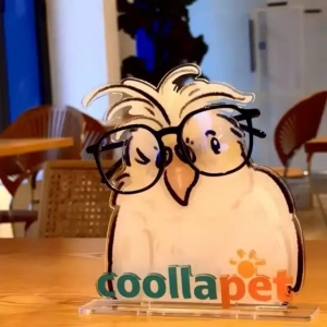 Cartoon Parrot Acrylic Glasses Display Standee Eyeglass Holder Pet Shop Logo Desktop Decor Custom Charm Phone Personalized, Keychain, Mô Hình Đứng Standee Anime, In 2 Mặt, Cao 6cm, Trang Trí Decor Bàn Học, Balo