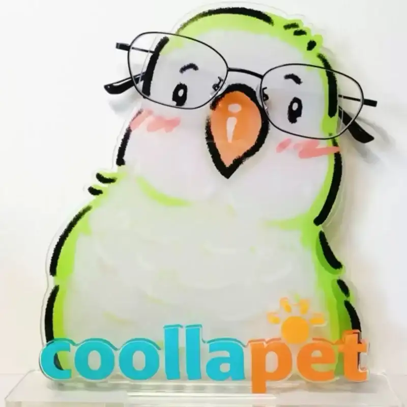 Cartoon Parrot Acrylic Glasses Display Standee Eyeglass Holder Pet Shop Logo Desktop Decor Custom Charm Phone Personalized, Keychain, Mô Hình Đứng Standee Anime, In 2 Mặt, Cao 6cm, Trang Trí Decor Bàn Học, Balo 3 Cartoon Parrot Acrylic Glasses Display Standee Eyeglass Holder Pet Shop Logo Desktop Decor Custom Charm Phone Personalized, Keychain, Mô Hình Đứng Standee Anime, In 2 Mặt, Cao 6cm, Trang Trí Decor Bàn Học, Balo - Ảnh 3